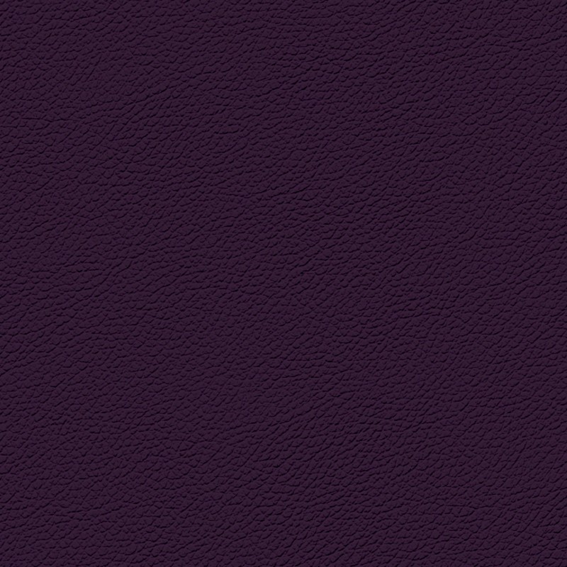 Gemini-purple